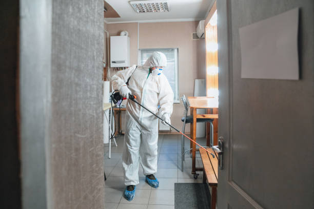  Oak View, CA Mold Removal Pros