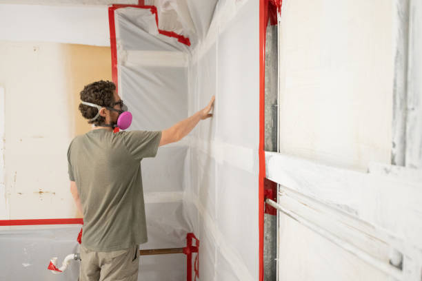 Best Mold Documentation for Insurance Claims  in Oak View, CA