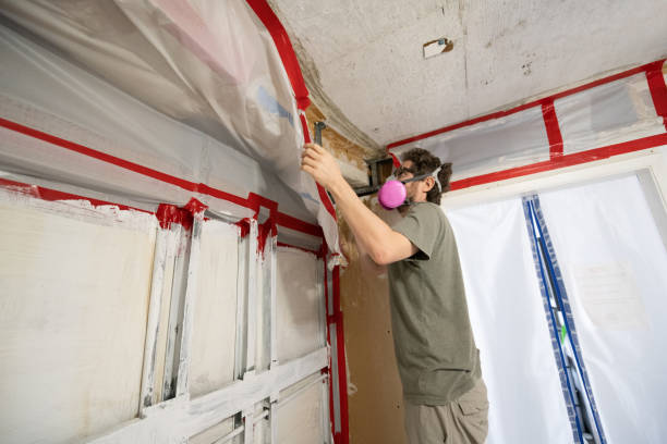 Best Mold Documentation for Insurance Claims  in Oak View, CA