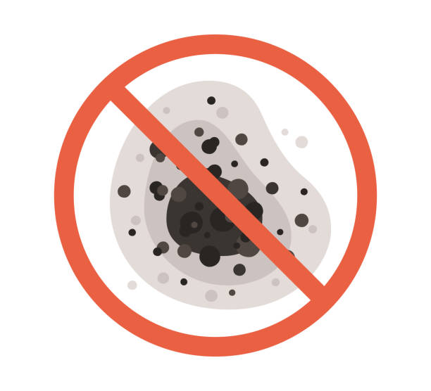 Best Emergency Mold Remediation  in Oak View, CA