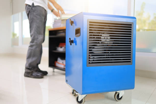 Mold Documentation for Insurance Claims in Oak View, CA