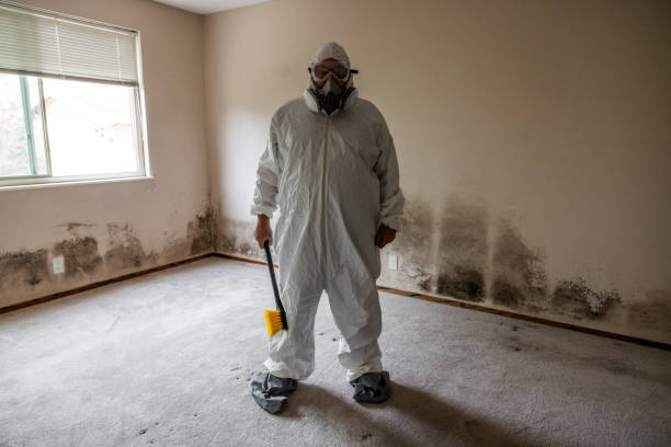 Best Commercial Mold Inspection  in Oak View, CA